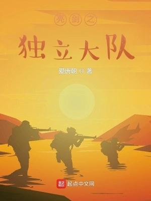 亮剑独立团分兵