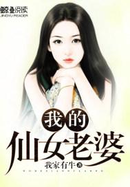 我的仙女老婆们