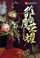 雏鹰的荣耀百度百科