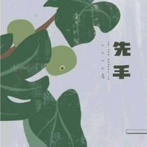 棋魂后续同人文