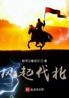 风起代北笔趣阁